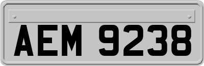 AEM9238