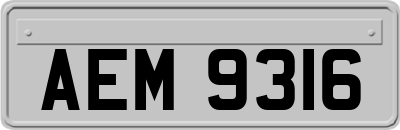 AEM9316