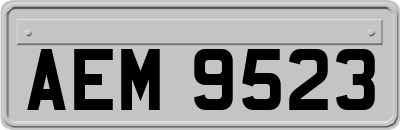 AEM9523