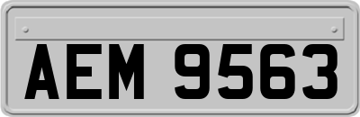AEM9563