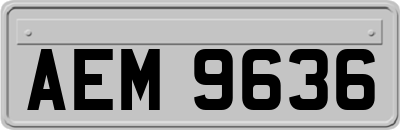 AEM9636