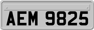 AEM9825
