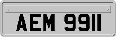 AEM9911