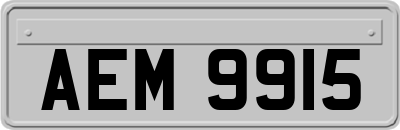AEM9915