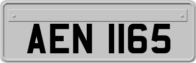 AEN1165