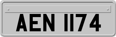 AEN1174