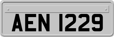 AEN1229