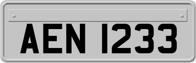 AEN1233