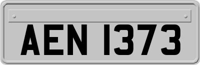AEN1373