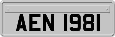 AEN1981