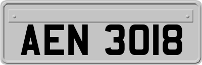 AEN3018