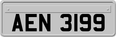 AEN3199