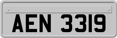 AEN3319
