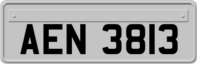AEN3813