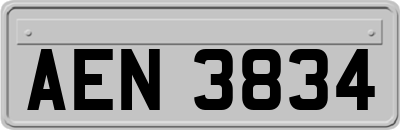 AEN3834