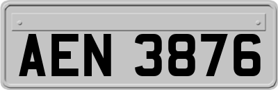 AEN3876