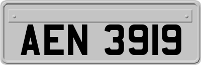 AEN3919