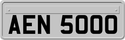 AEN5000