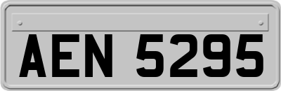 AEN5295