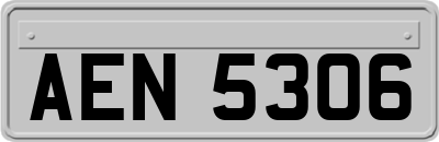 AEN5306