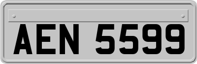 AEN5599
