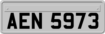 AEN5973