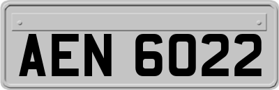 AEN6022