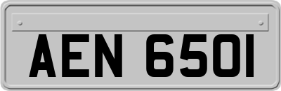 AEN6501