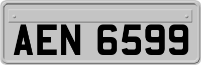 AEN6599
