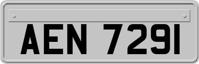 AEN7291