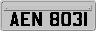 AEN8031