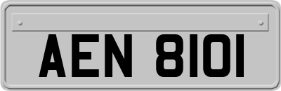 AEN8101