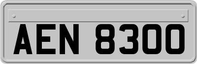 AEN8300