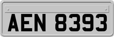 AEN8393