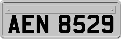 AEN8529