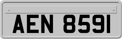 AEN8591