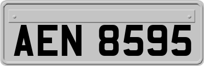 AEN8595