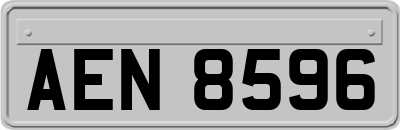 AEN8596