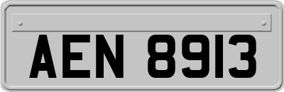 AEN8913