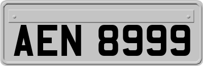 AEN8999