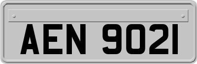 AEN9021