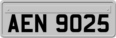 AEN9025