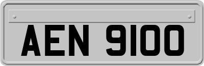AEN9100