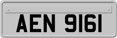AEN9161