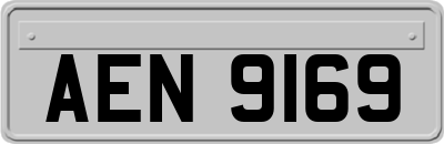 AEN9169