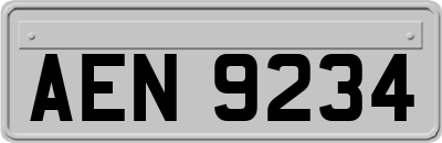 AEN9234