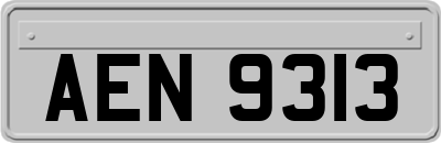 AEN9313