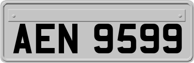 AEN9599