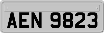AEN9823