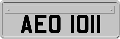 AEO1011